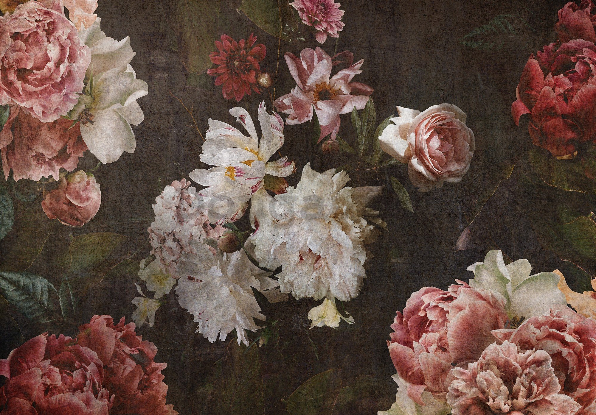 Fototapeta vliesová: Umelecké kvety - 254x184 cm