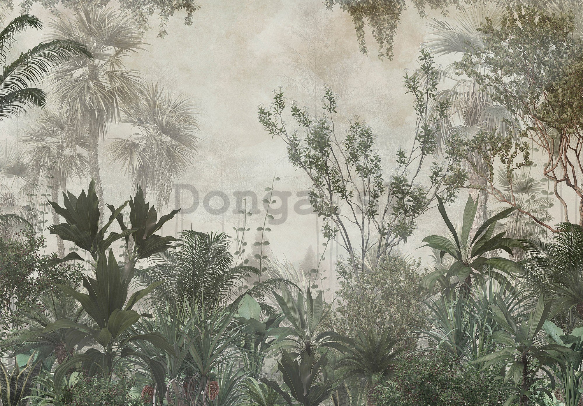 Fototapeta vliesová: Lesná džungľa zelená - 254x184 cm