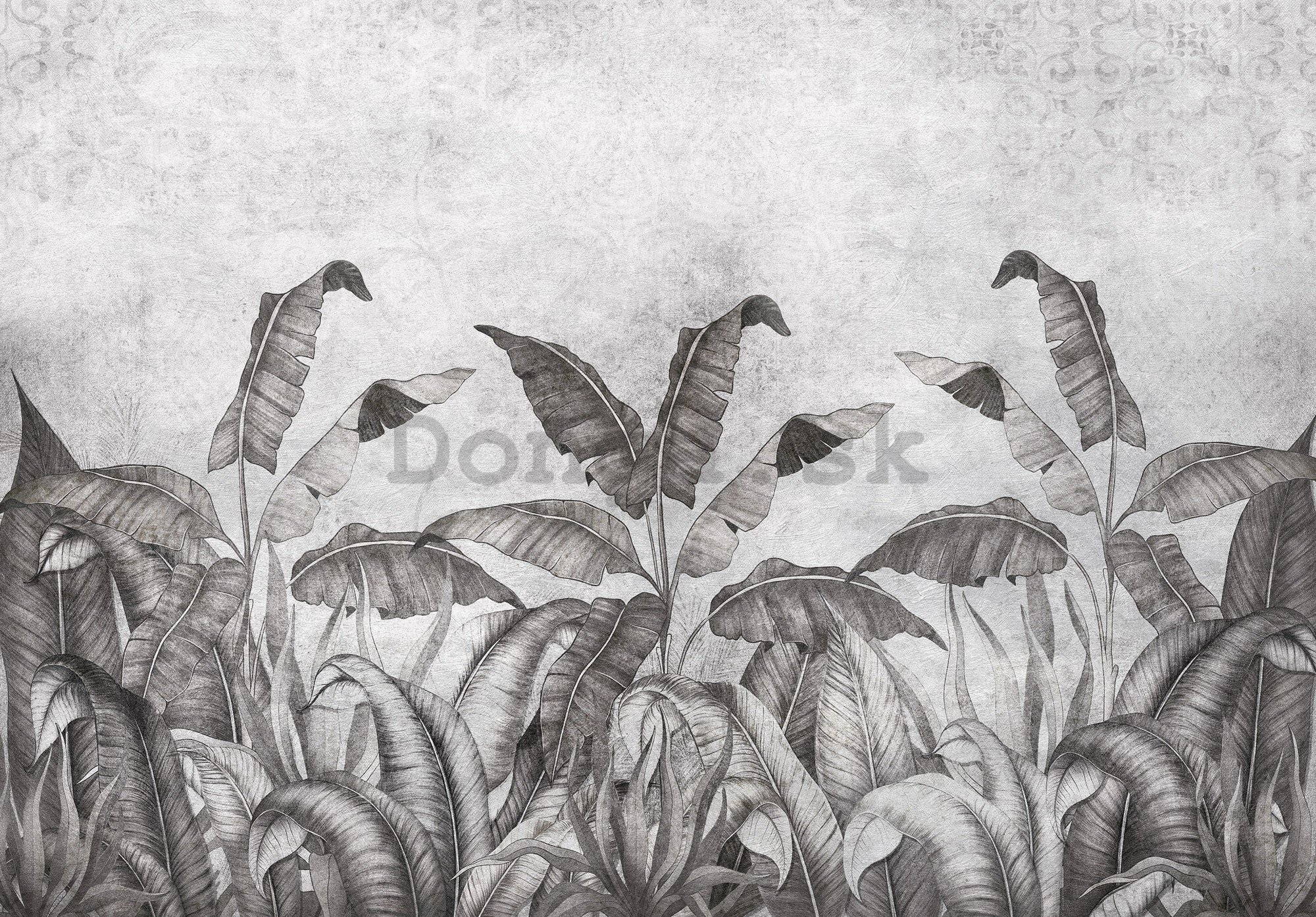 Fototapeta vliesová: Imitácia prírodných listov čiernobiele (2) - 254x184 cm