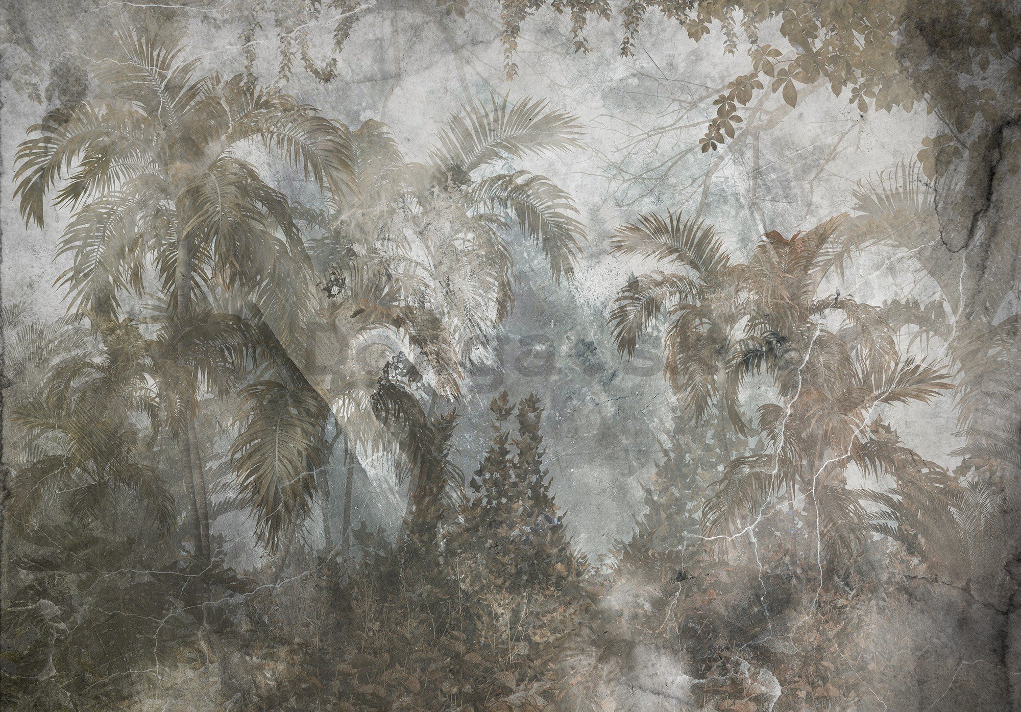 Fototapeta vliesová: Džungľa (imitácia betónu) - 254x184 cm