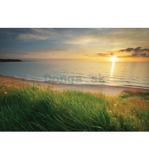 Fototapeta vliesová: Pláž pri západe slnka - 254x184 cm
