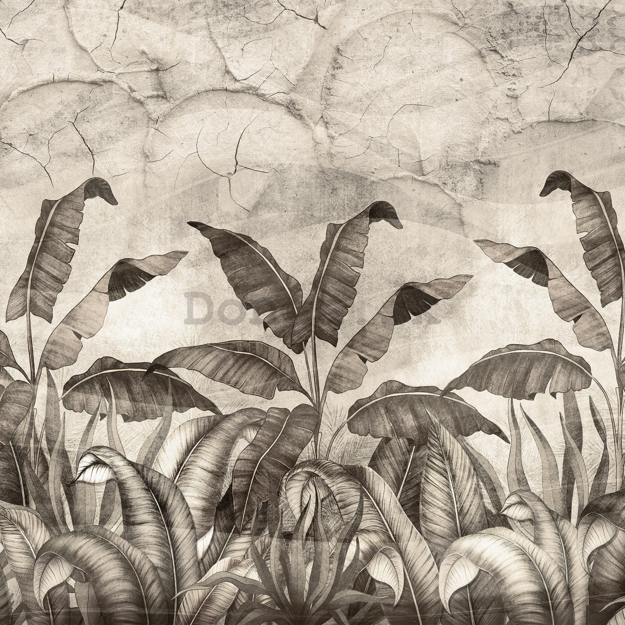 Fototapeta vliesová: Imitácia prírodných listov čiernobiele - 368x254 cm