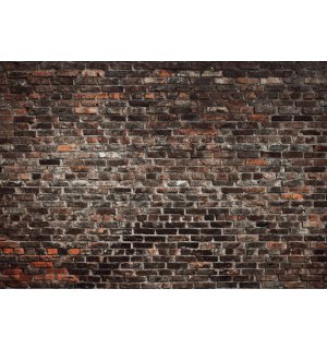 Fototapeta vliesová: Imitácia tehlovej steny - 368x254 cm