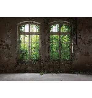 Fototapeta vliesová: Okno s brečtanom - 152,5x104 cm