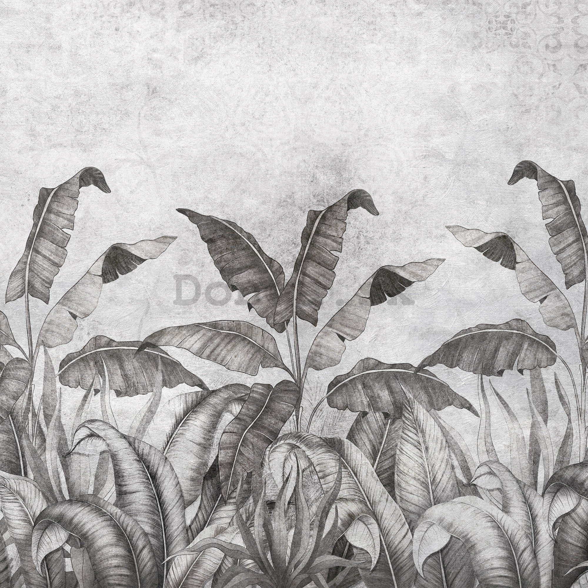 Fototapeta vliesová:  Imitácia prírodných listov čiernobiele (2) - 416x254 cm