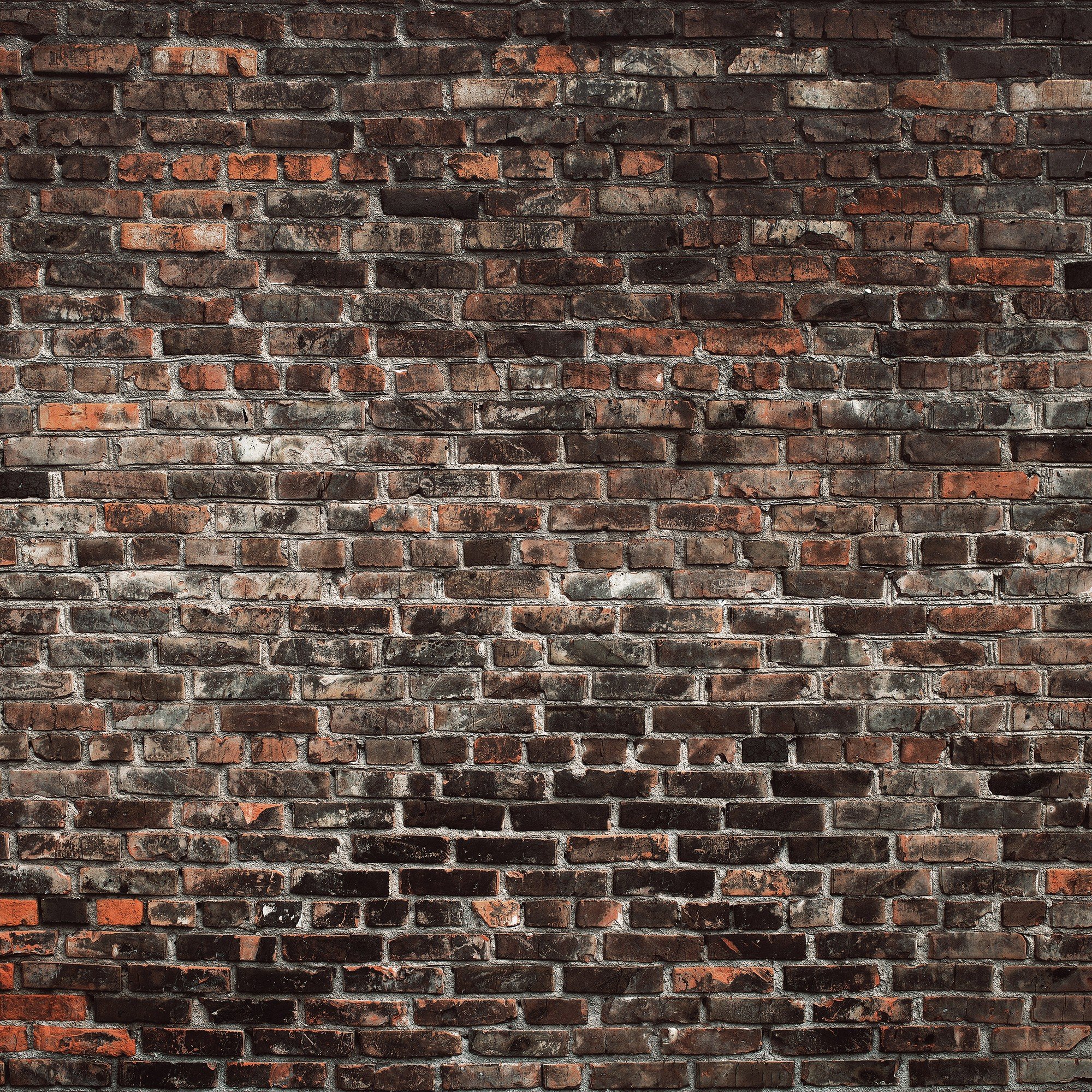 Fototapeta vliesová:  Imitácia tehlovej steny - 416x254 cm