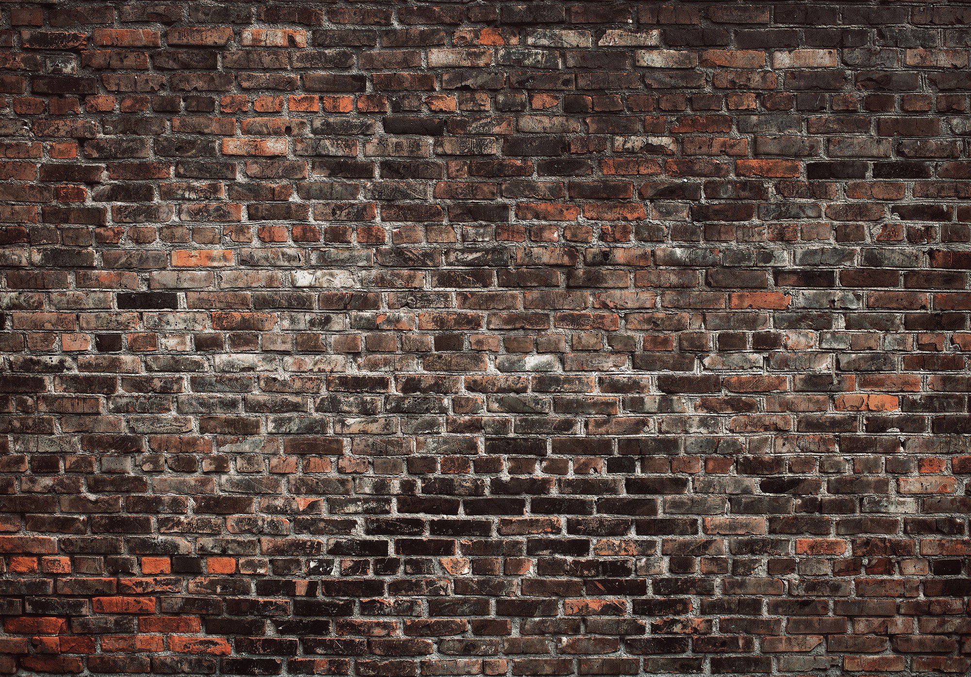 Fototapeta vliesová:  Imitácia tehlovej steny - 416x254 cm