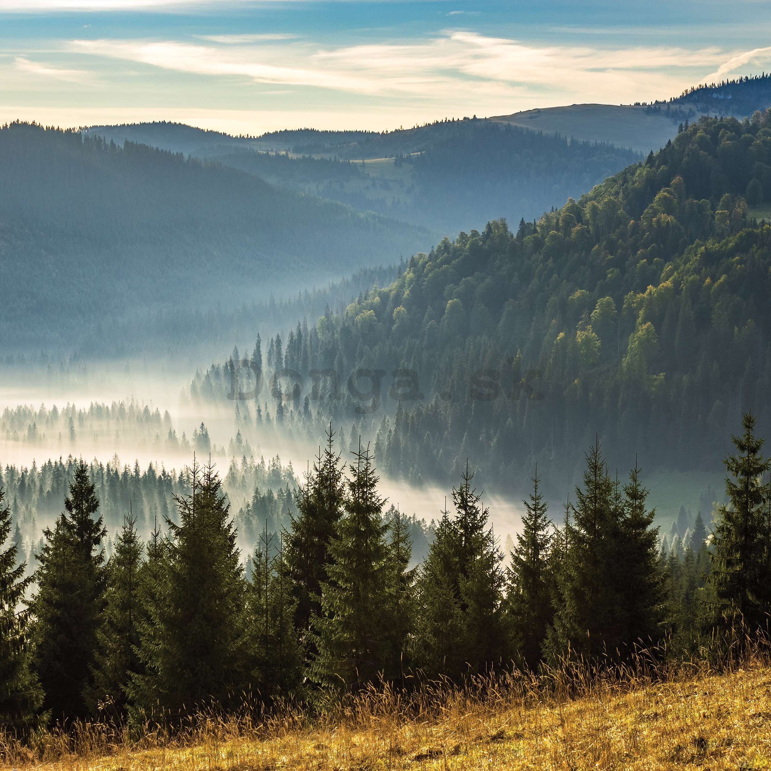 Fototapeta vliesová: Lesná príroda horská krajina - 254x184 cm