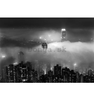Fototapeta vliesová: Nočné mesto v hmle (čiernobiely) - 254x184 cm