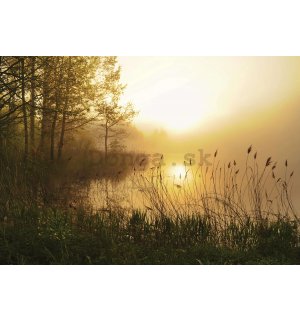 Fototapeta vliesová: Jazero v hmle - 254x184 cm