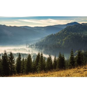 Fototapeta vliesová: Lesná príroda horská krajina - 368x254 cm