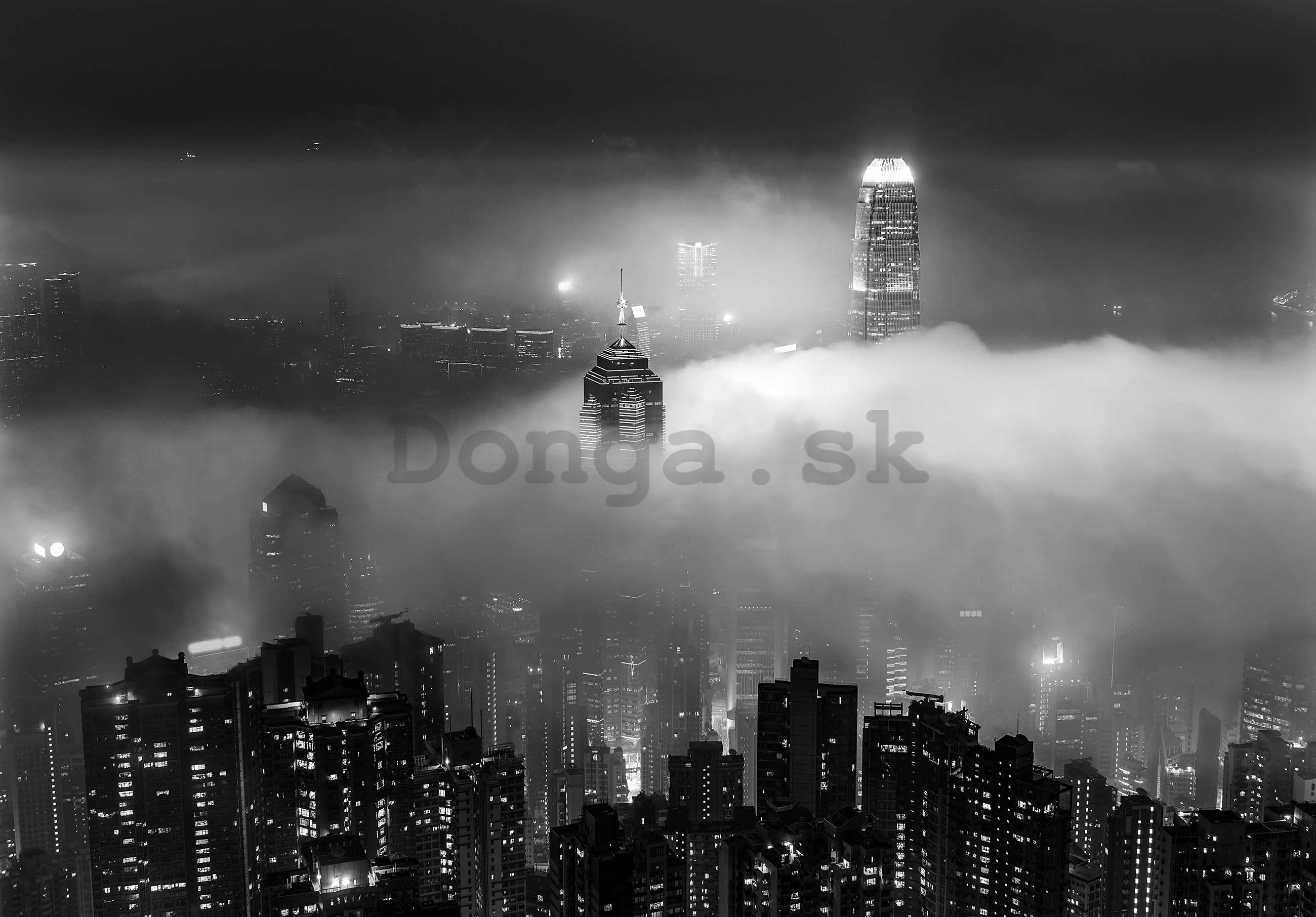 Fototapeta vliesová: Nočné mesto v hmle (čiernobiely) - 368x254 cm