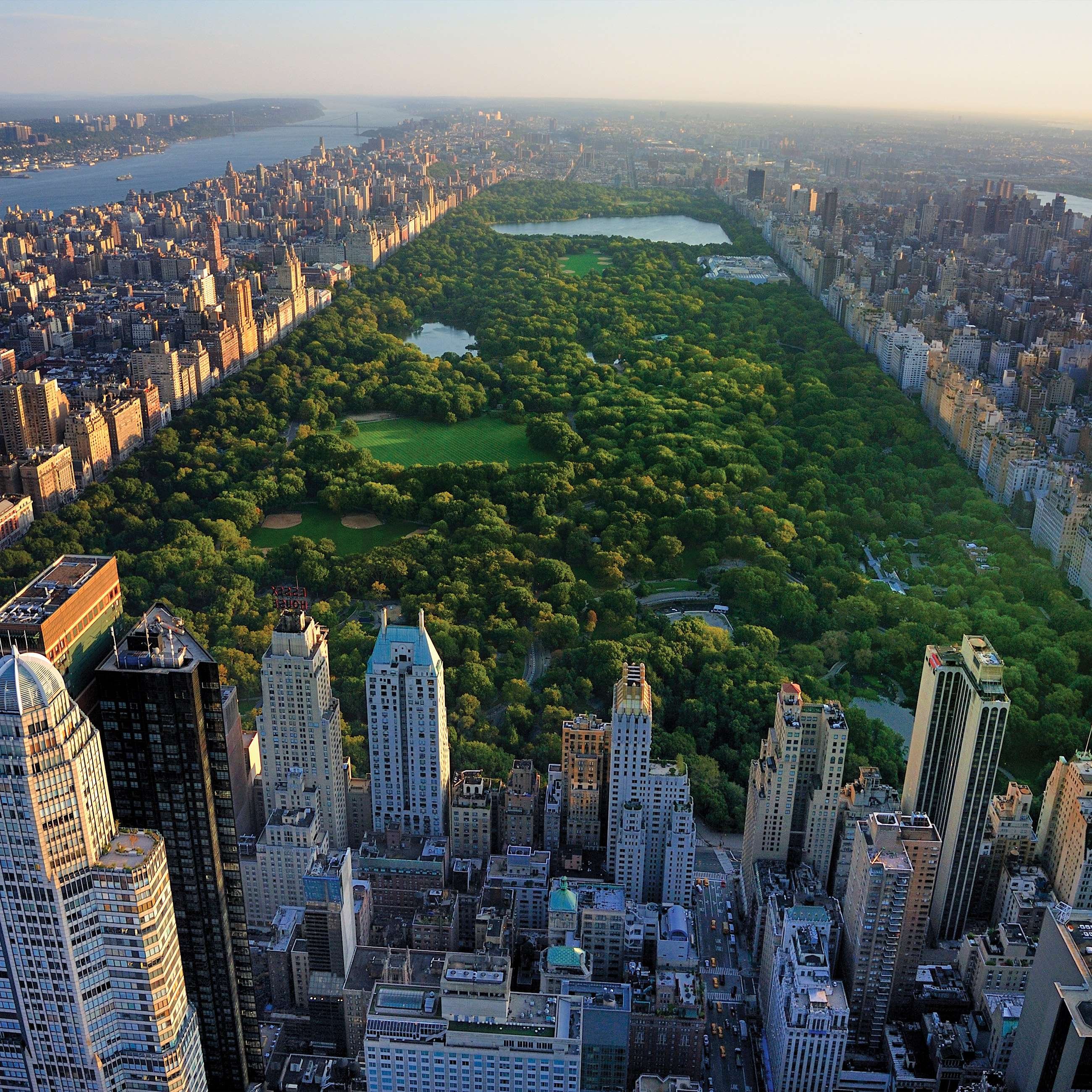 Fototapeta vliesová: New York Central Park - 368x254 cm