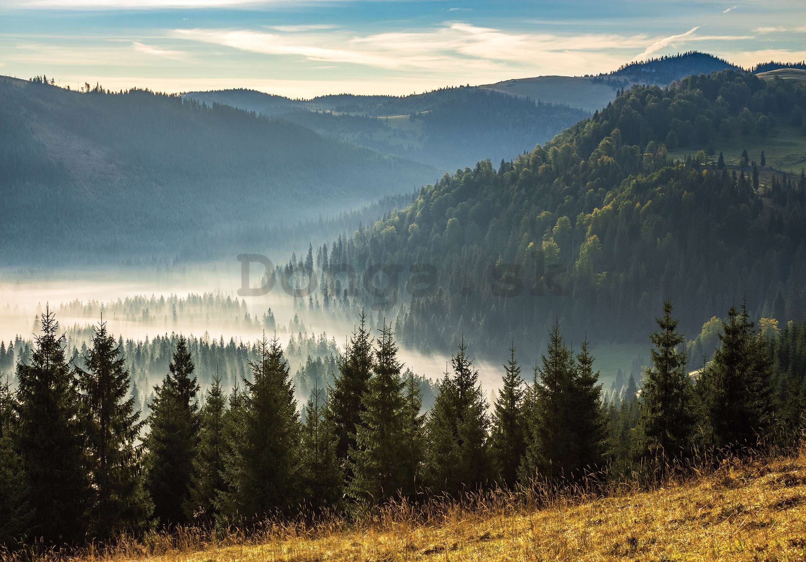 Fototapeta vliesová: Lesná príroda horská krajina - 152,5x104 cm