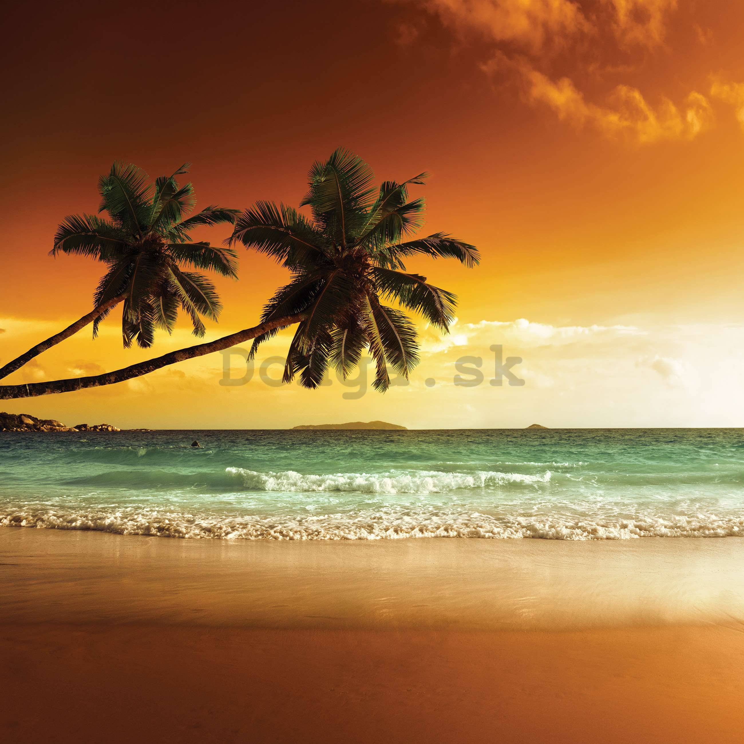 Fototapeta vliesová: Palmy a pláž pri západe slnka - 152,5x104 cm