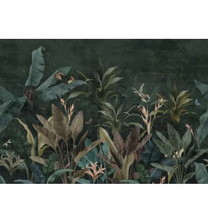 Fototapeta vliesová: Zvieratá v džungli (Vtáky a motýle) - 416x254 cm
