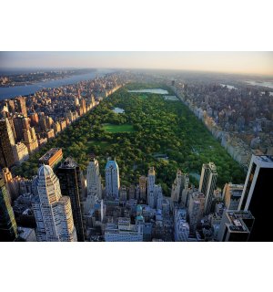 Fototapeta vliesová: New York Central Park - 416x254 cm