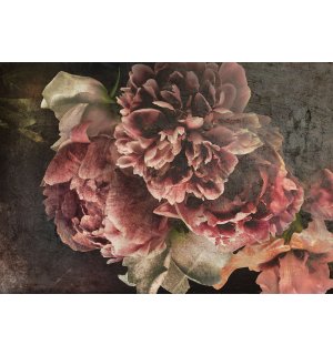 Fototapeta vliesová: Květy pivoněk - 254x184 cm