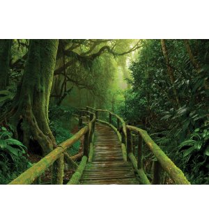 Fototapeta vliesová: Lávka v džungli - 368x254 cm