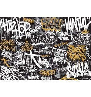 Fototapeta vliesová: Graffiti (tříbarevné) - 368x254 cm