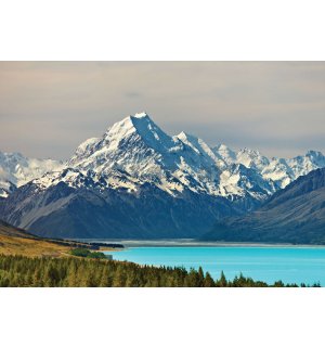 Fototapeta vliesová: Zasněžené horské jezero - 152,5x104 cm