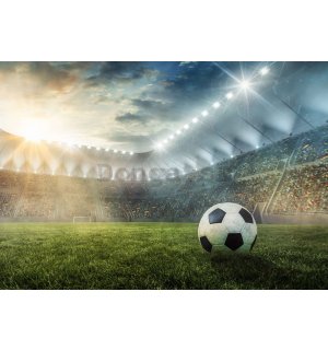 Fototapeta vliesová: Fotbalový Stadion (7) - 104x70,5 cm