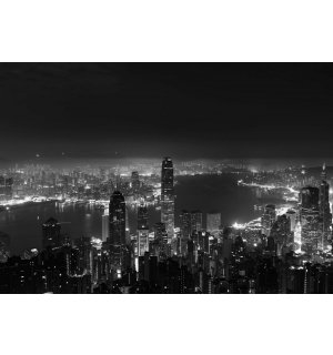 Fototapeta vliesová: Panorama velkoměsta (černobílý) - 104x70,5 cm
