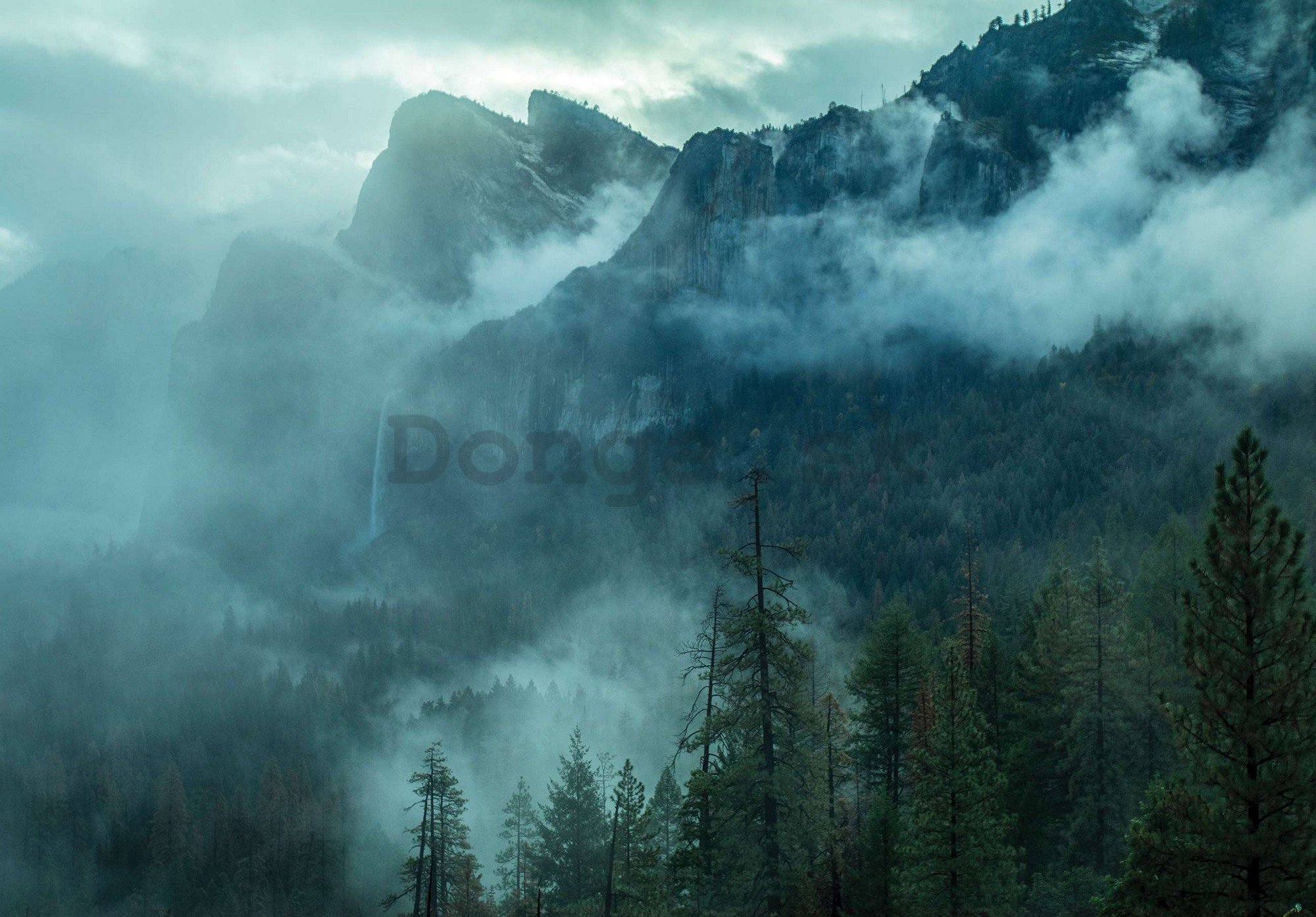 Fototapeta vliesová: Mlha v horách - 416x254 cm