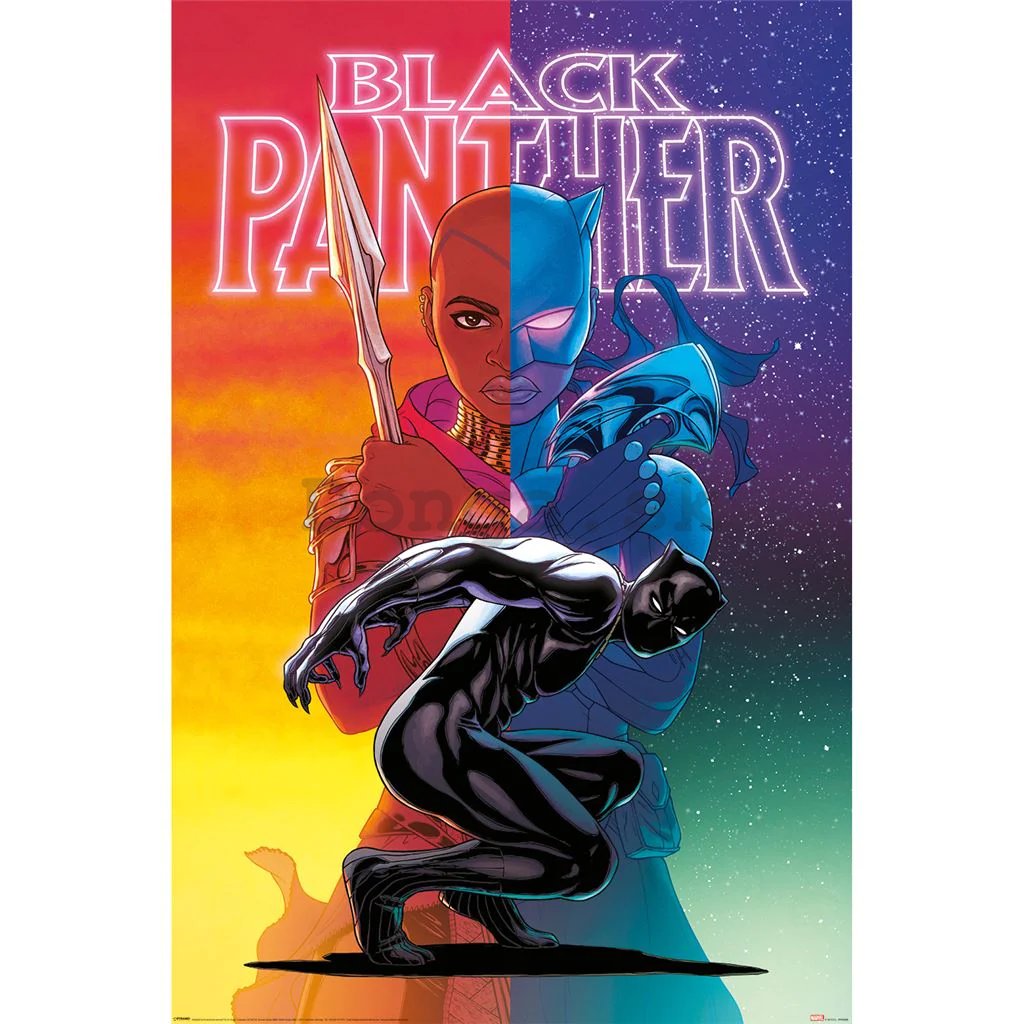 Plagát - Black Panther