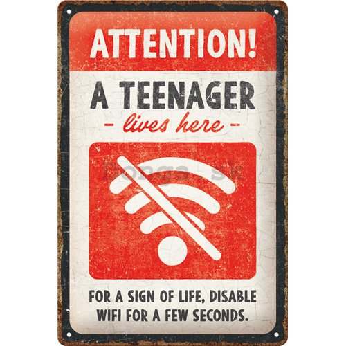 Plechová ceduľa: Teenager Wifi - 30x20 cm