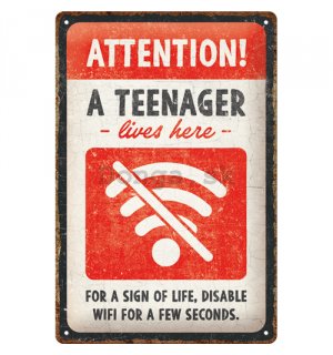 Plechová ceduľa: Teenager Wifi - 30x20 cm