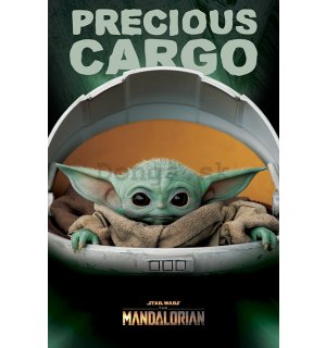 Plagát - Star Wars The Mandalorian (Precious Cargo)