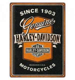 Plechová ceduľa: Harley-Davidson - Genuine Motorcycles Ribbon - 40x30 cm