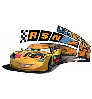 Samolepka - Auta, Cars (Racing Sports Network)