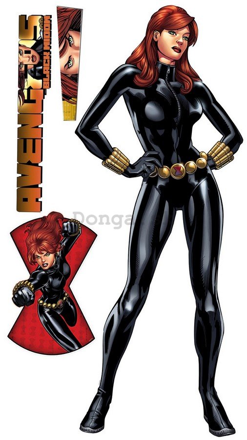 Samolepka - Avengers Black Widow (2)