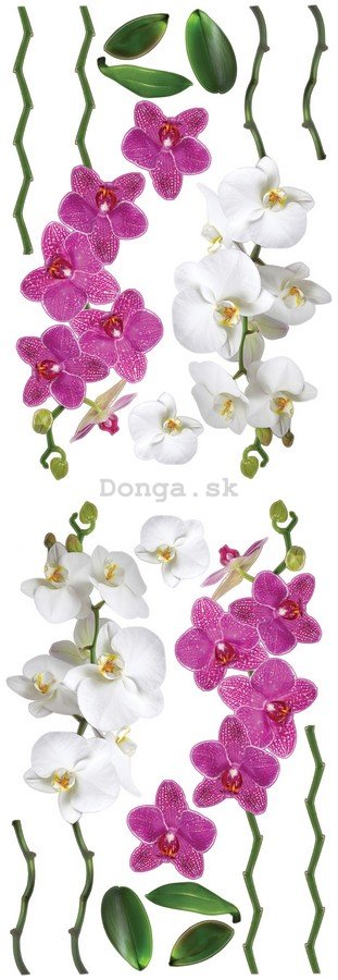 Samolepka - Orchidey (3)