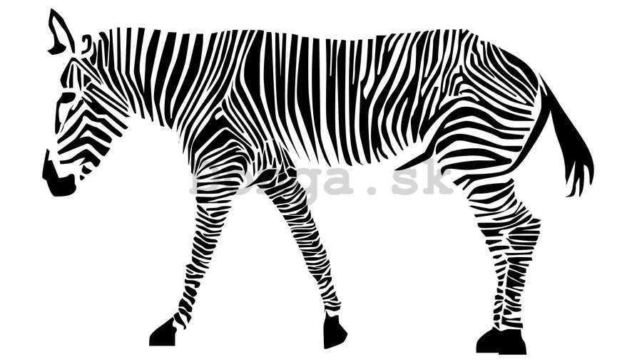 Samolepka - Zebra (2)