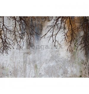 Fototapety vliesové: Imitation concrete trees modern - 254x184 cm