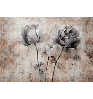 Fototapety vliesové: Flowers Roses Structure (1) - 254x184 cm