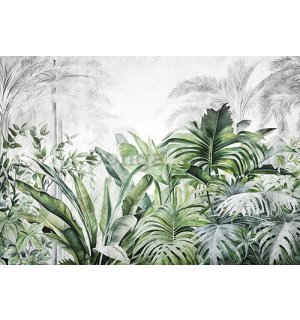 Fototapety vliesové: Nature Leaves Exotic Jungle (1) - 254x184 cm