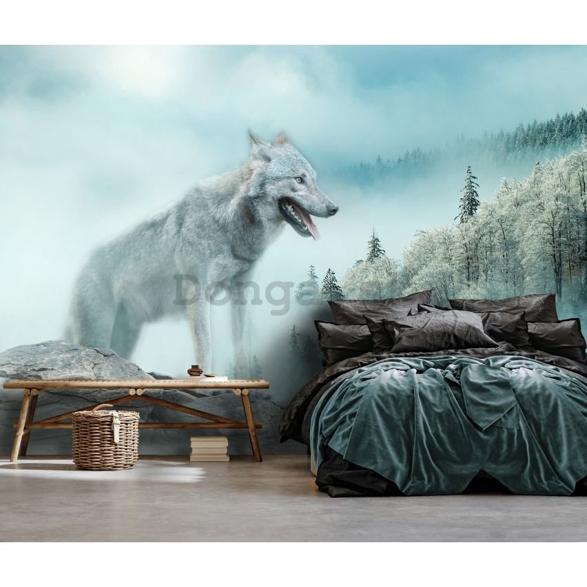 Fototapeta vliesová: Nature forest wolf snow - 152,5x104 cm