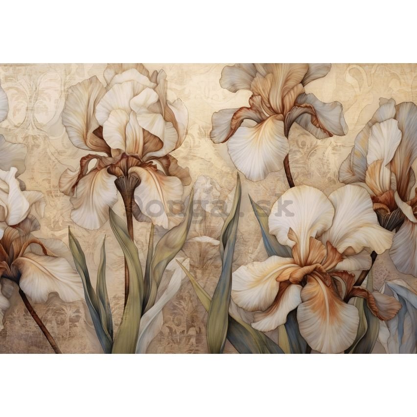 Fototapeta vliesová: Nature Flowers Modern Iris - 152,5x104 cm