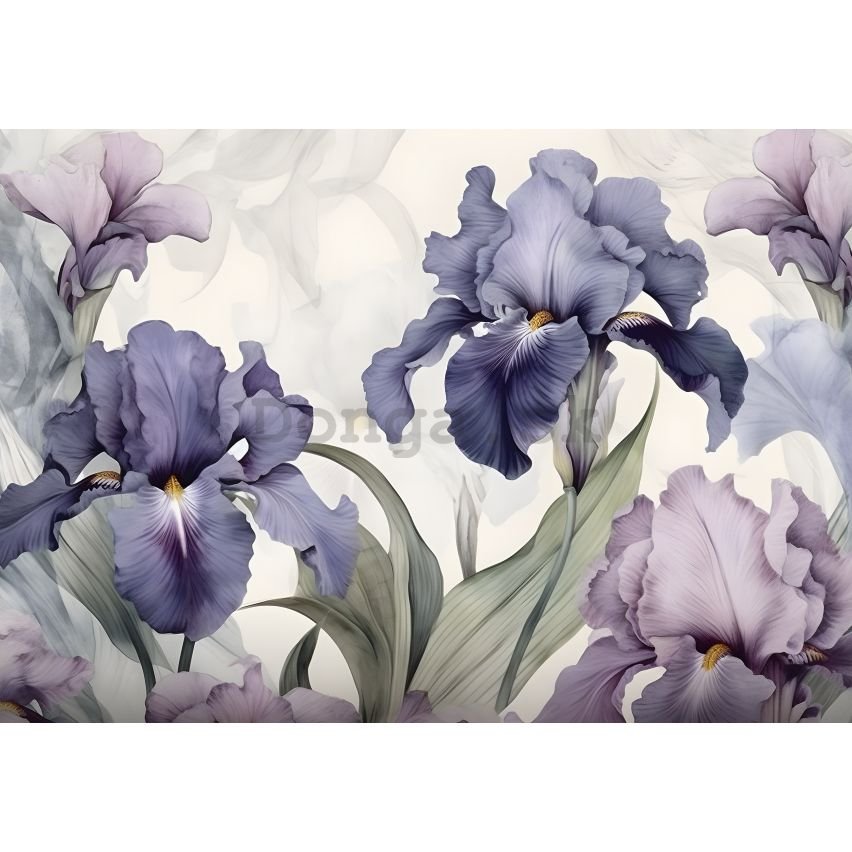 Fototapeta vliesová: Nature Flowers Modern Romantic Iris - 152,5x104 cm