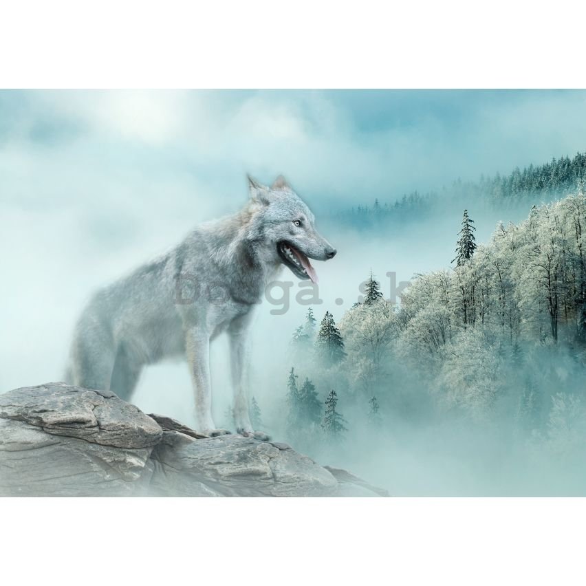 Fototapeta vliesová: Nature forest wolf snow - 104x70,5 cm