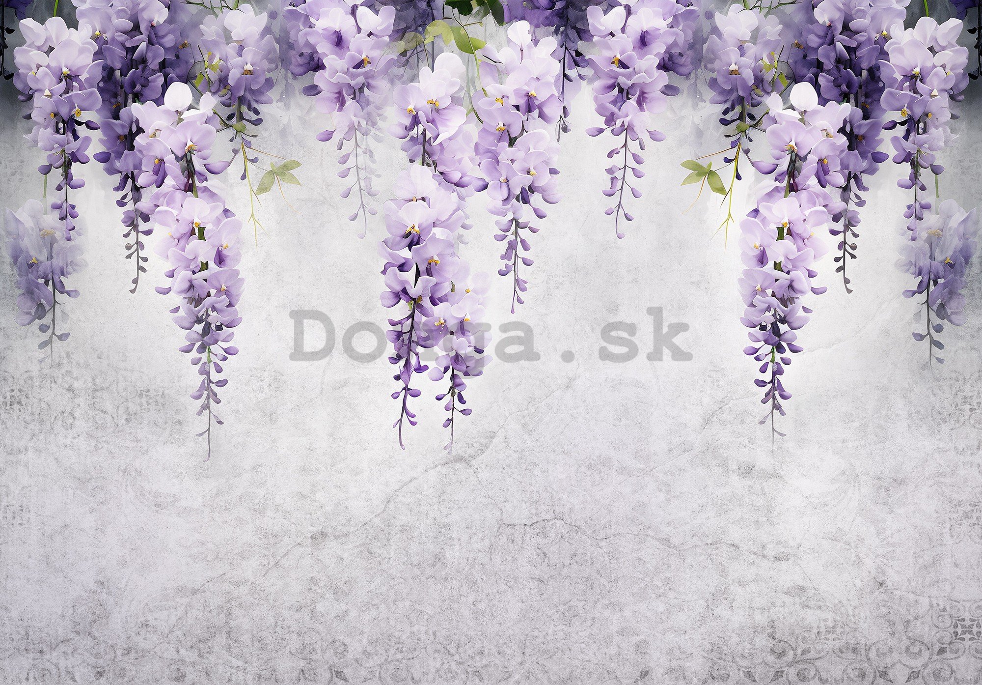 Fototapeta vliesová: Flowers Violet Wisteria Romantic (1) - 104x70,5 cm