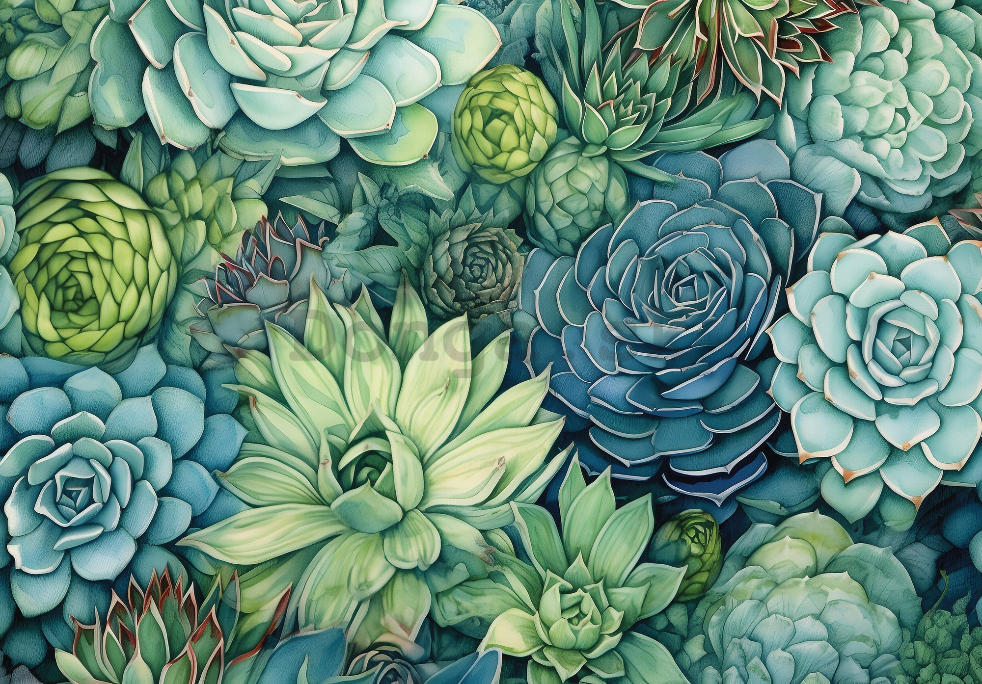 Fototapeta vliesová: Succulents - 104x70,5 cm