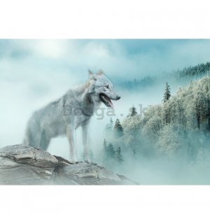 Fototapeta vliesová: Nature forest wolf snow - 208x146 cm