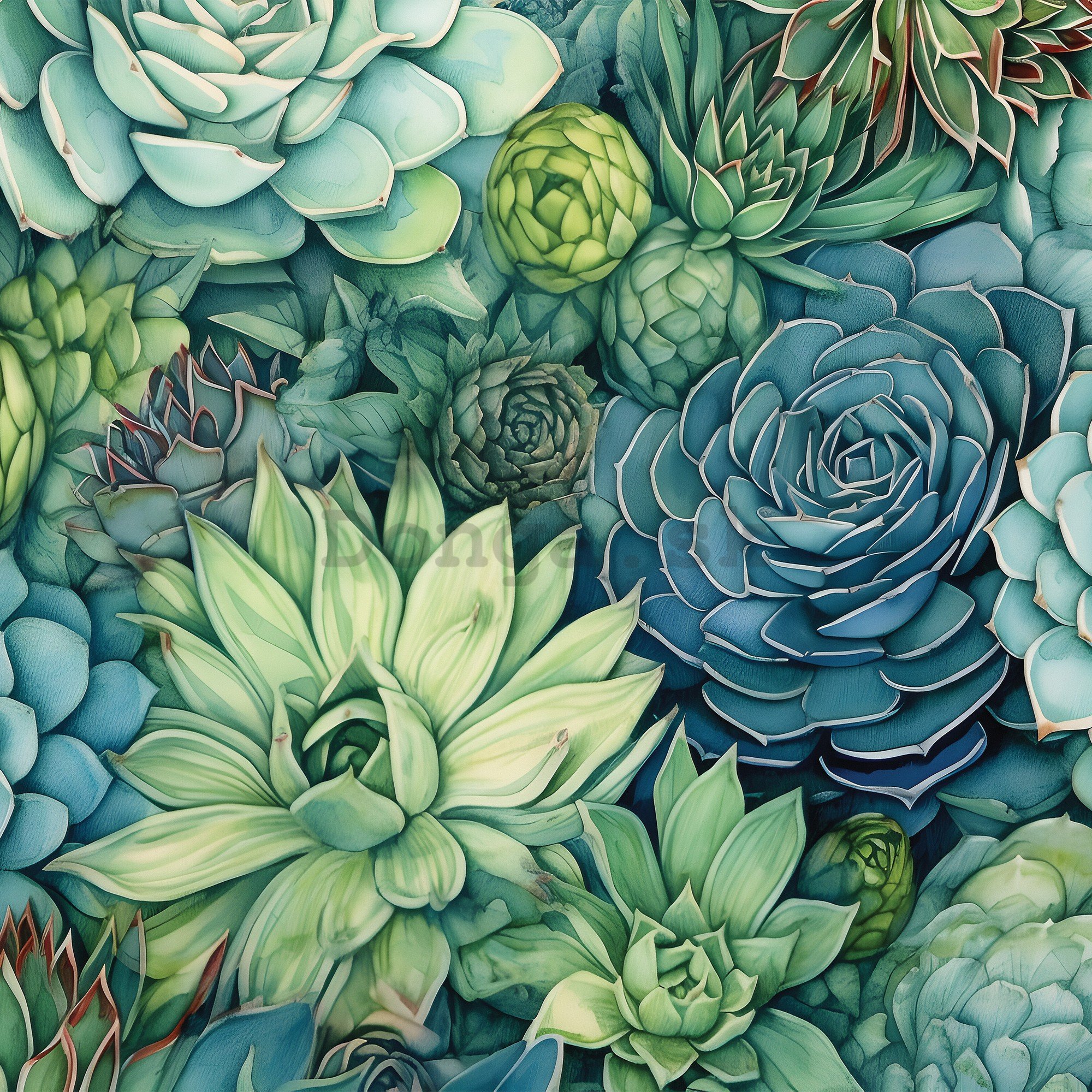 Fototapeta vliesová: Succulents - 208x146 cm