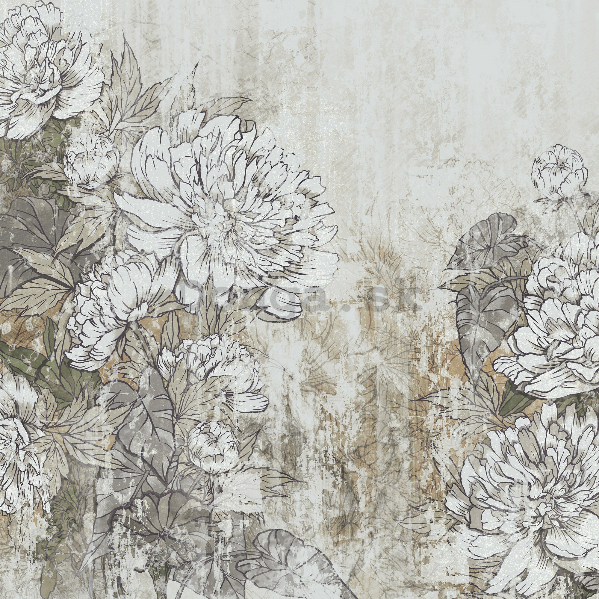 Fototapeta vliesová: Flowers (2) - 208x146 cm