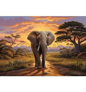 Fototapeta vliesová: Animals Elephant Safari - 208x146 cm